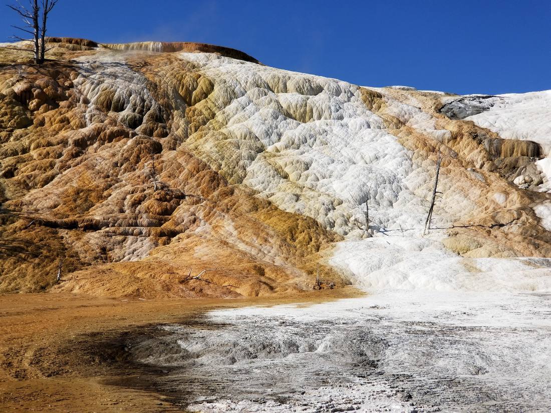 Yellowstone — canyon, falls & wildlife