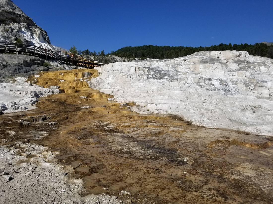 Yellowstone — canyon, falls & wildlife