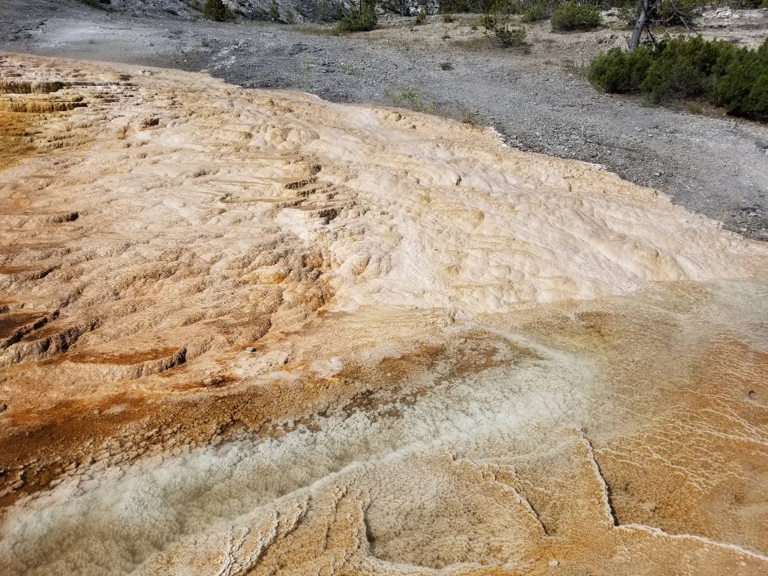 Yellowstone — canyon, falls & wildlife