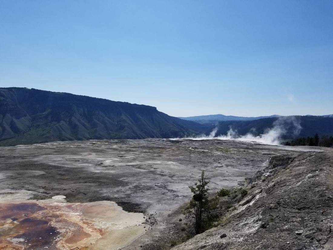 Yellowstone — canyon, falls & wildlife