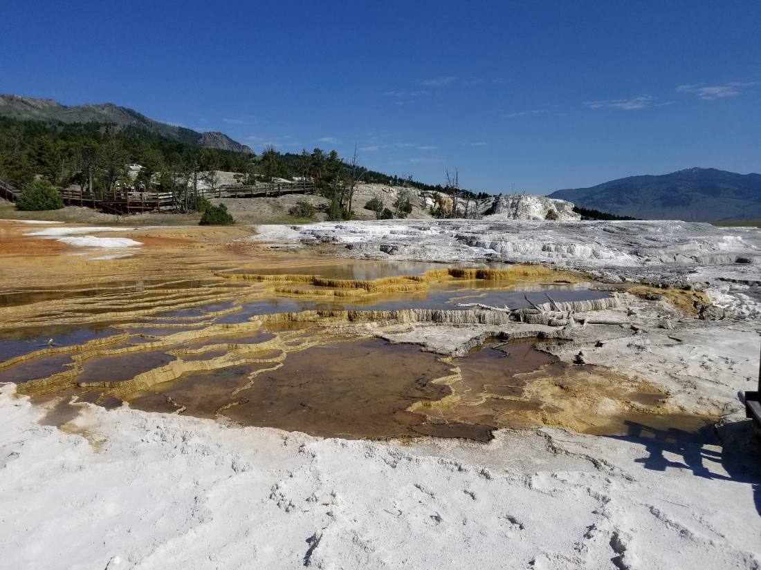 Yellowstone — canyon, falls & wildlife