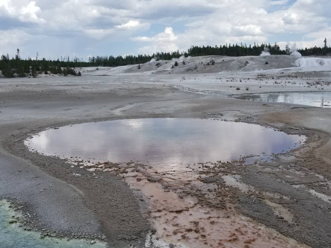 Yellowstone — canyon, falls & wildlife