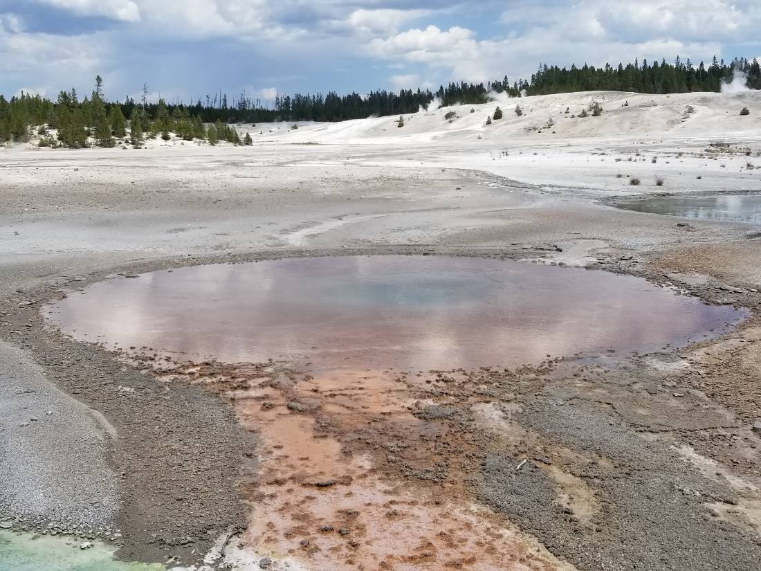 Yellowstone — canyon, falls & wildlife