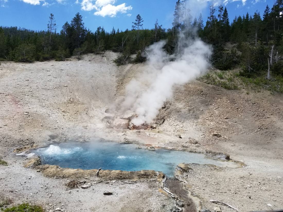 Yellowstone — canyon, falls & wildlife