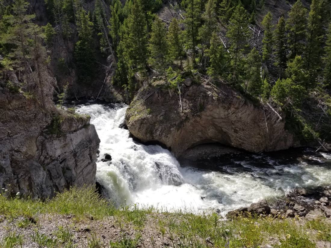 Yellowstone — canyon, falls & wildlife