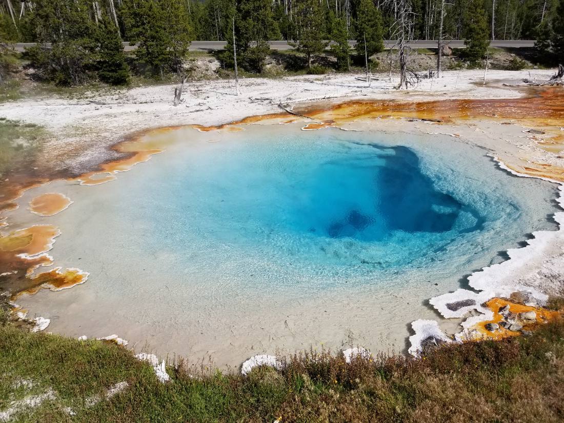 Yellowstone — canyon, falls & wildlife