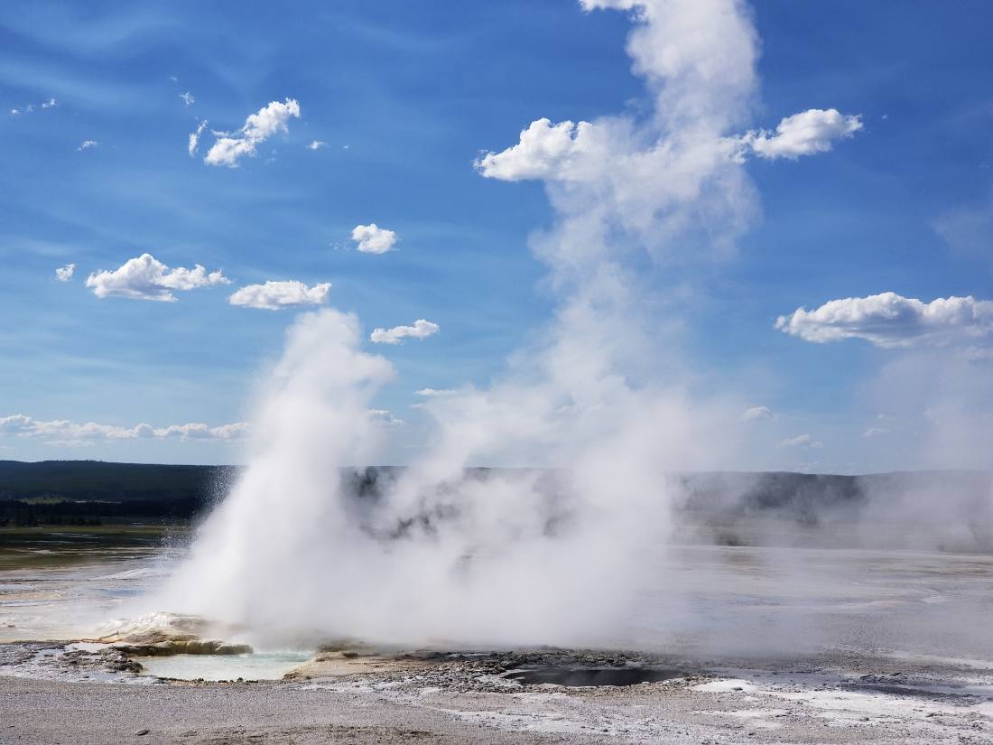 Yellowstone — canyon, falls & wildlife