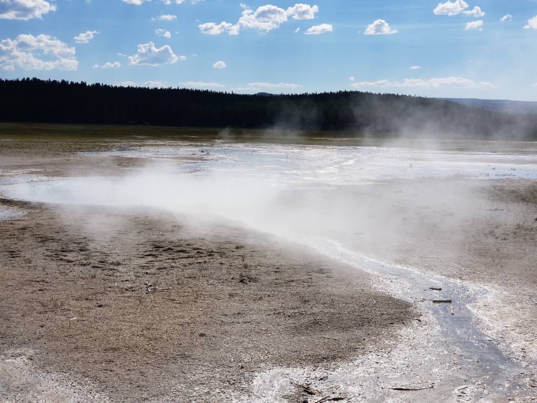 Yellowstone — canyon, falls & wildlife