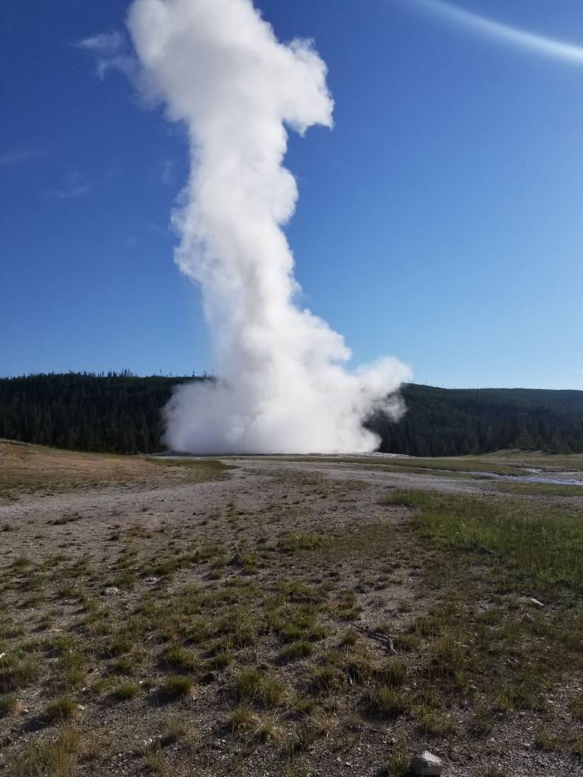 Yellowstone — canyon, falls & wildlife
