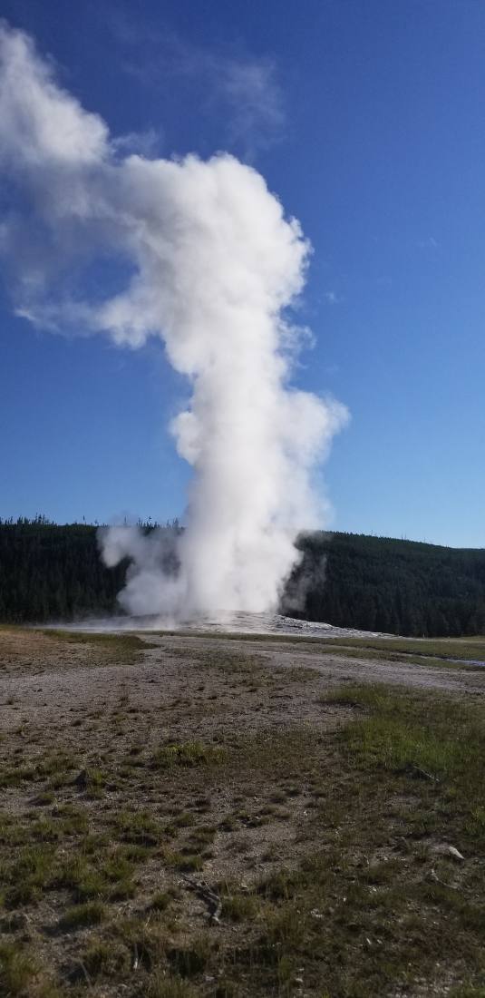Yellowstone — canyon, falls & wildlife