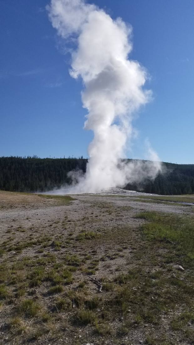 Yellowstone — canyon, falls & wildlife