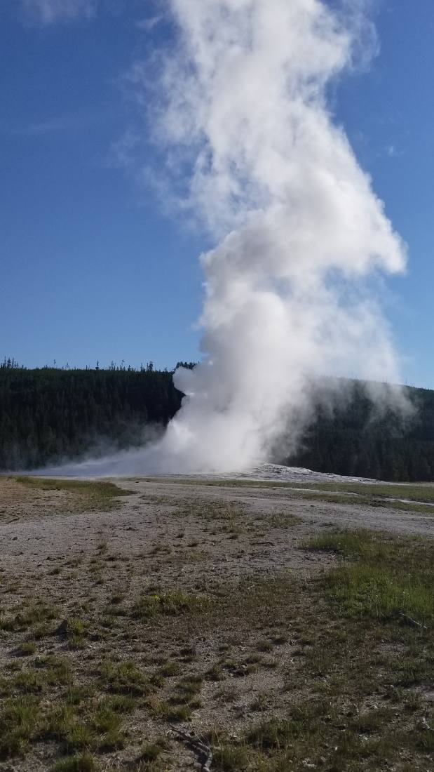 Yellowstone's thermal wonders