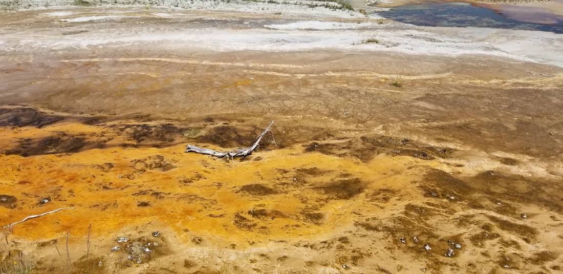 Yellowstone's thermal wonders