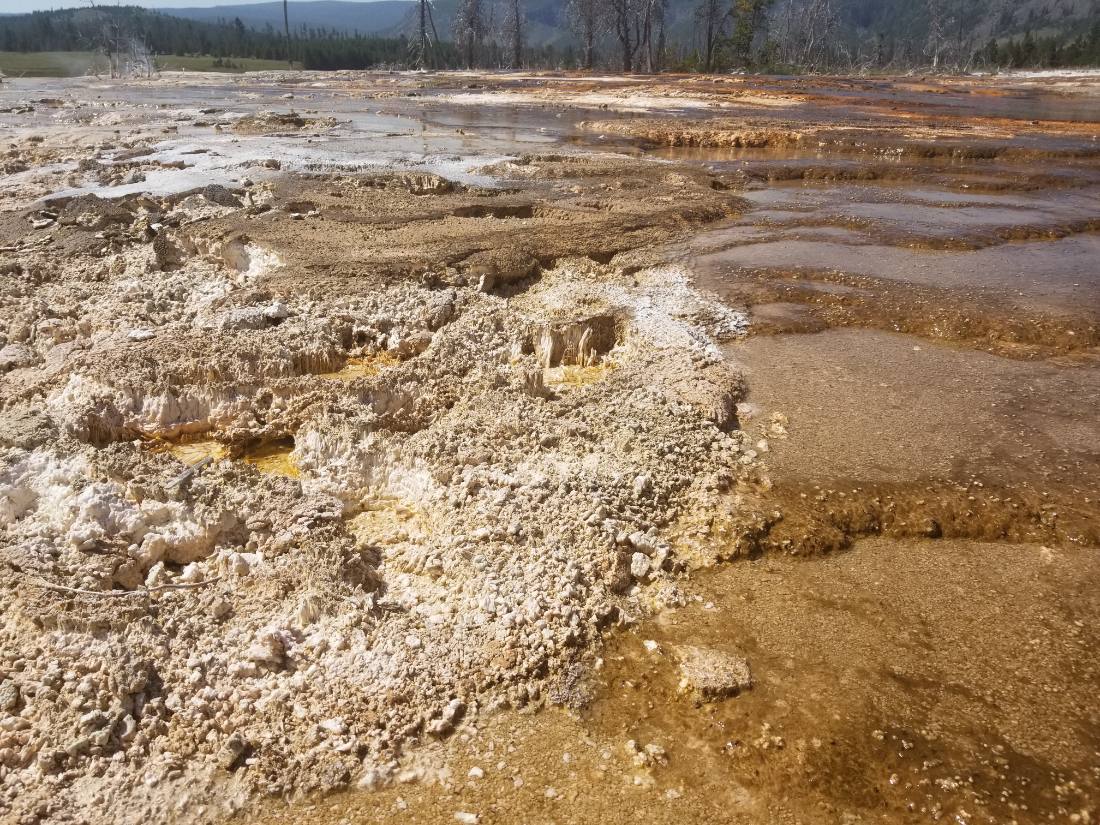 Yellowstone's thermal wonders