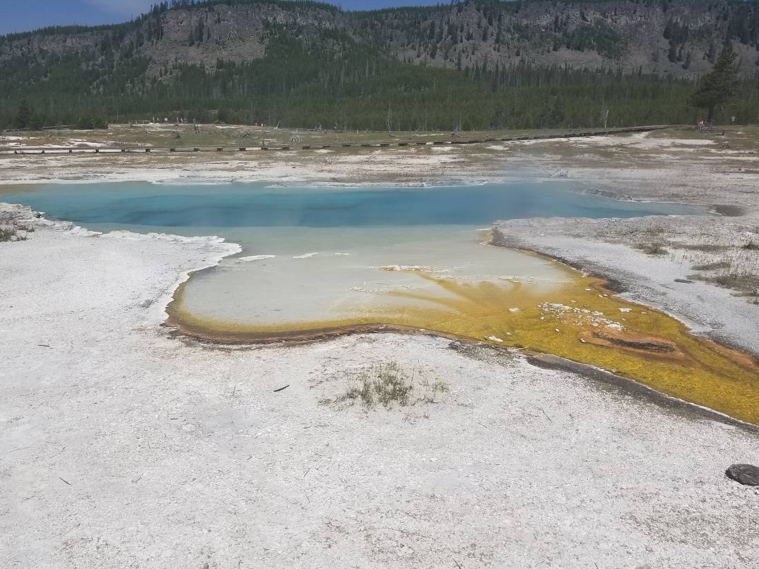 Yellowstone's thermal wonders