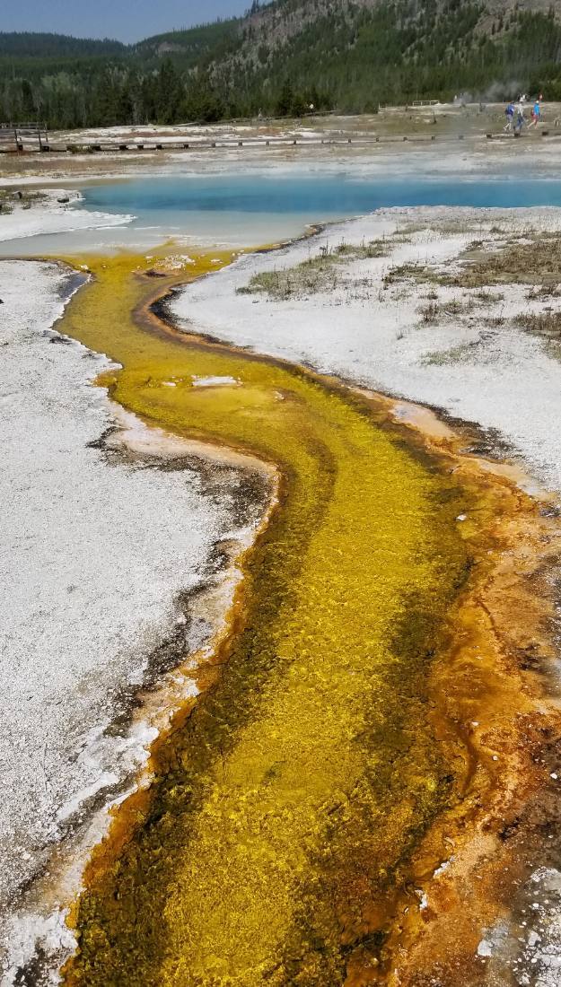 Yellowstone's thermal wonders