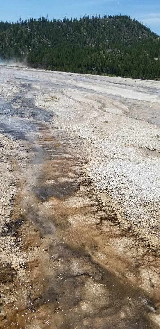 Yellowstone's thermal wonders
