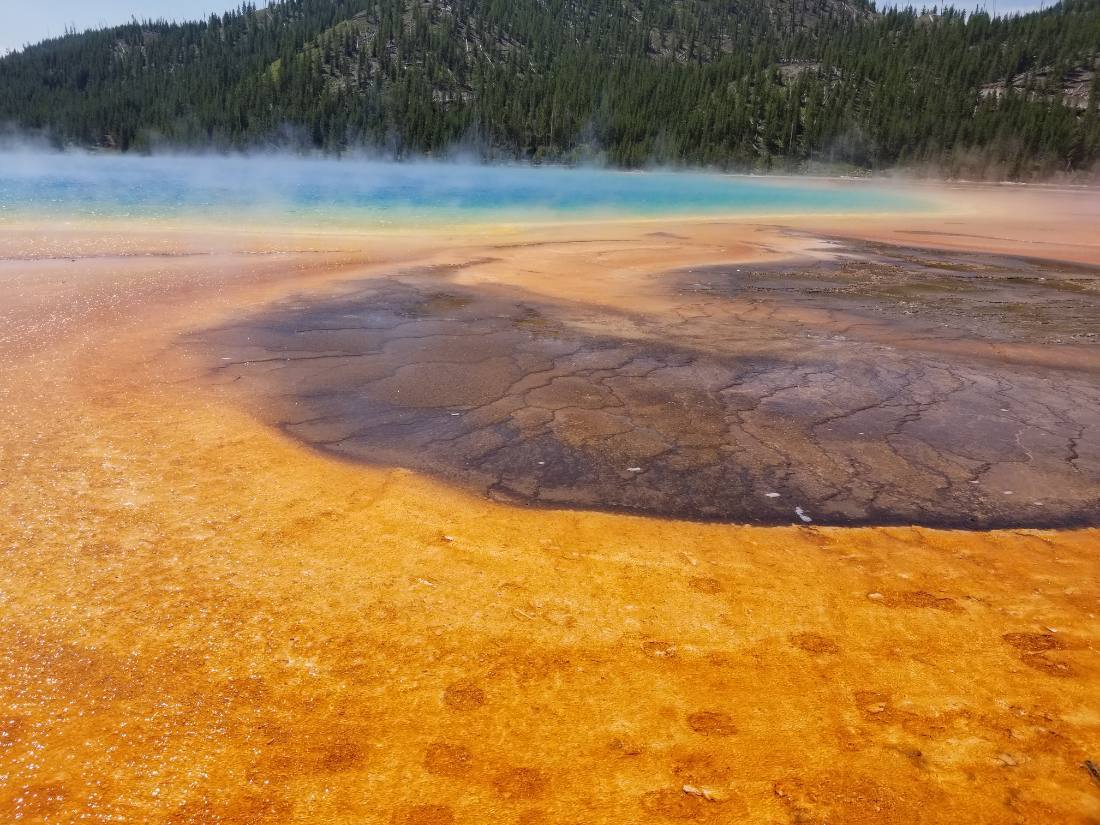 Yellowstone's thermal wonders