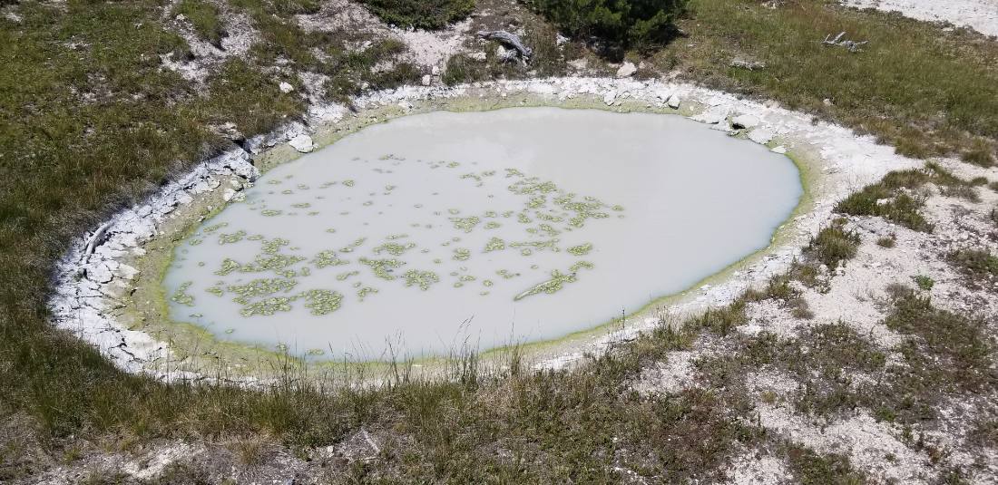 Yellowstone's thermal wonders