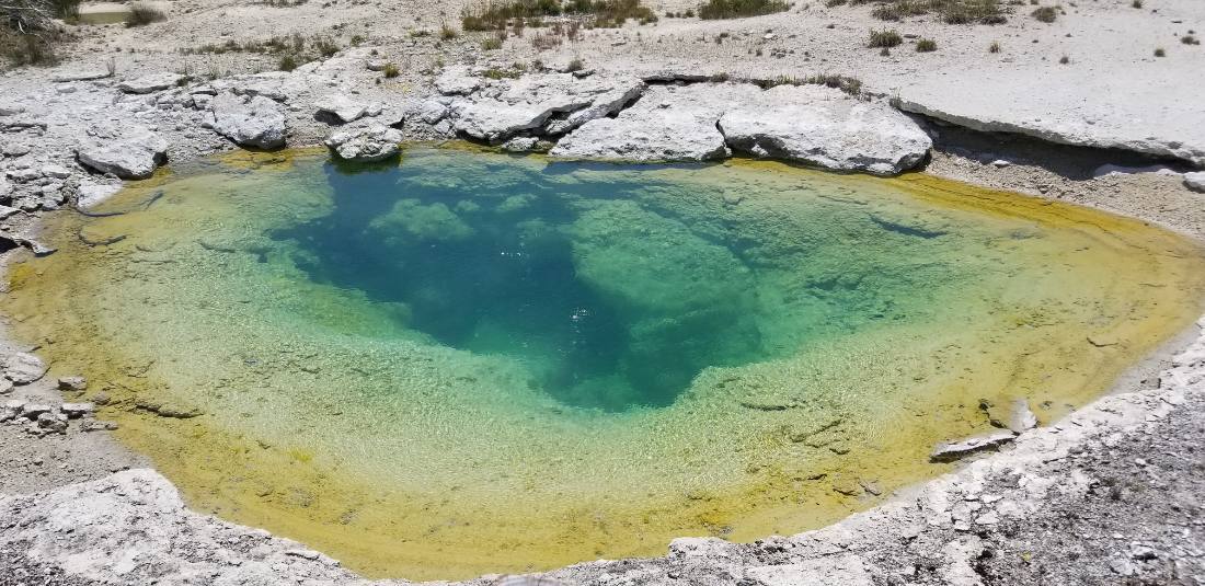 Yellowstone's thermal wonders
