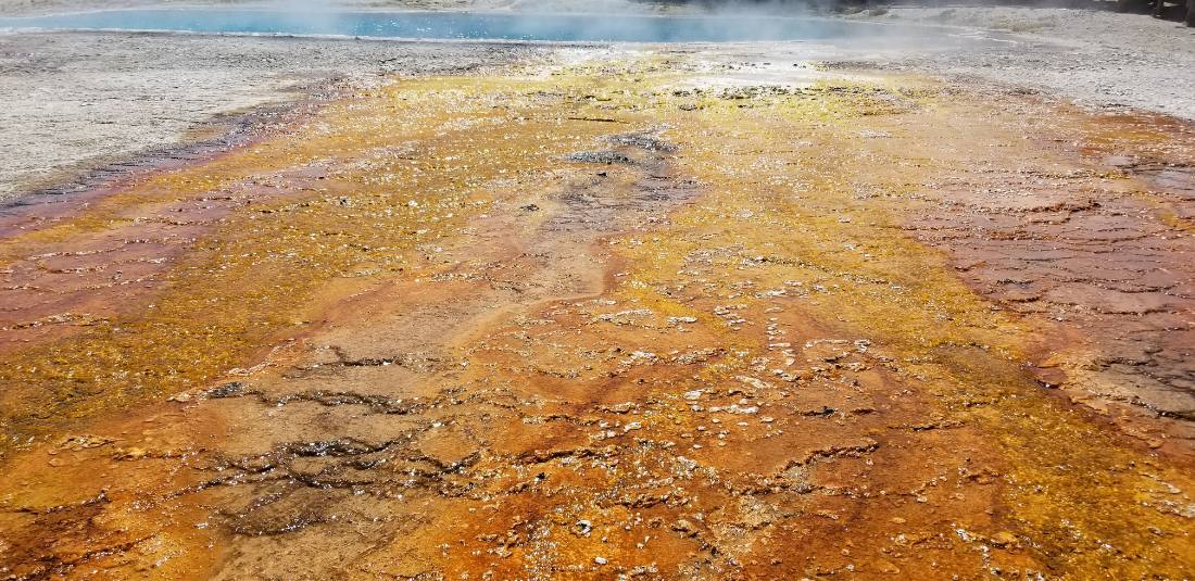 Yellowstone's thermal wonders