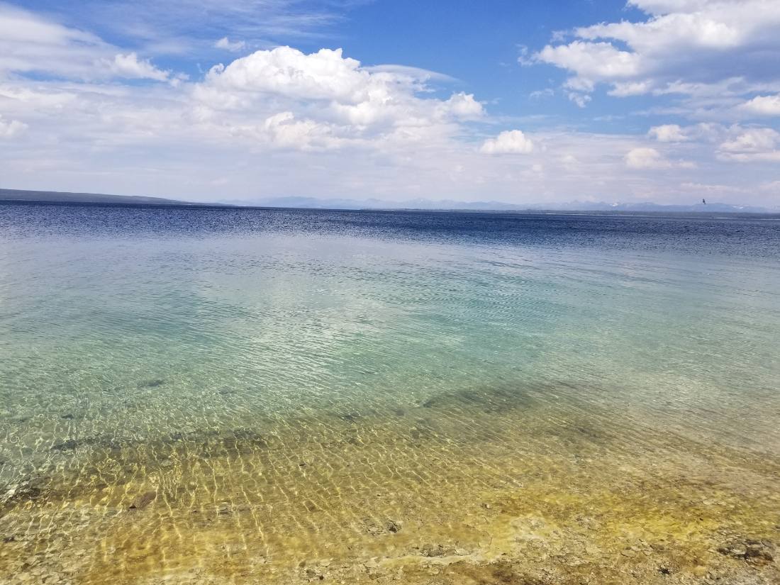 Yellowstone's thermal wonders