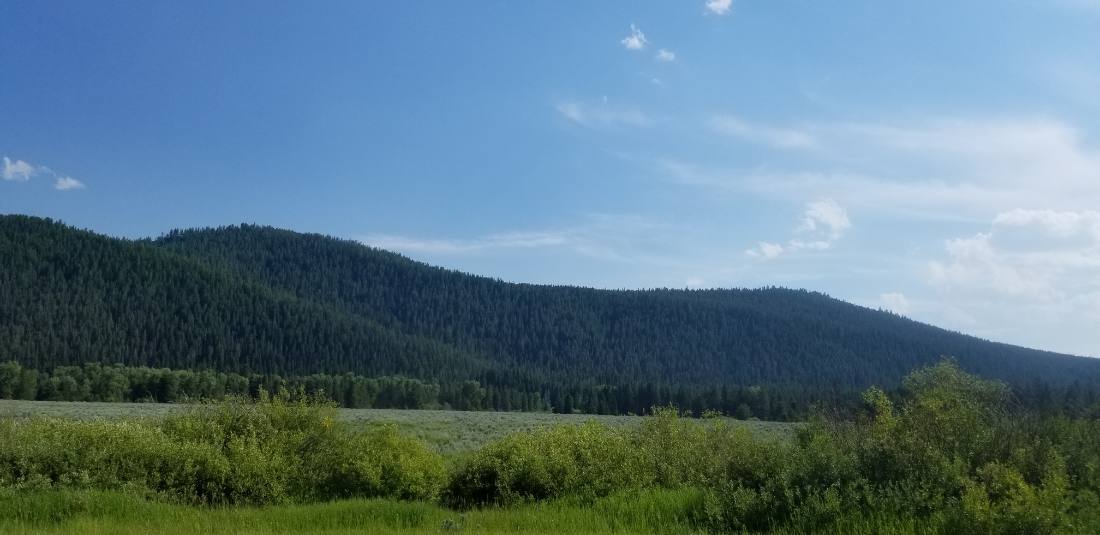 Yellowstone's thermal wonders